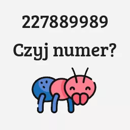 227889989