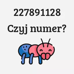 227891128