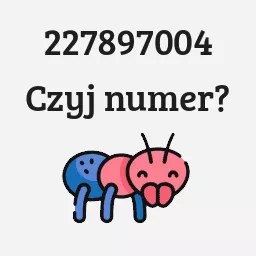 227897004