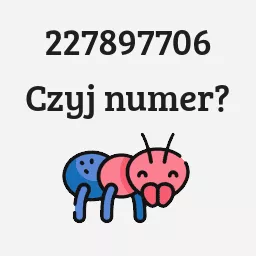 227897706