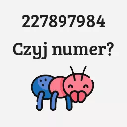 227897984