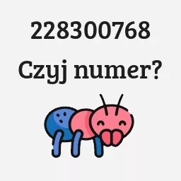 228300768