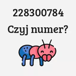 228300784