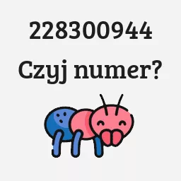 228300944