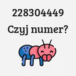 228304449