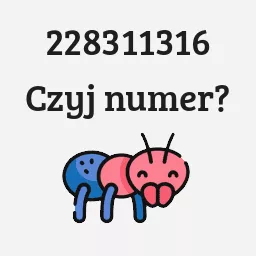 228311316