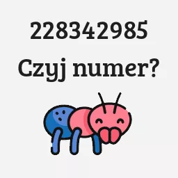 228342985