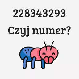 228343293