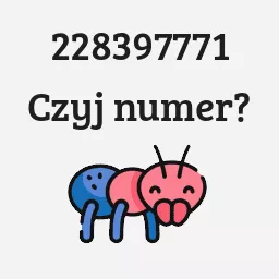 228397771