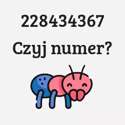 228434367