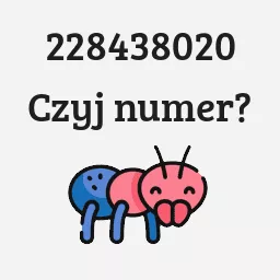 228438020