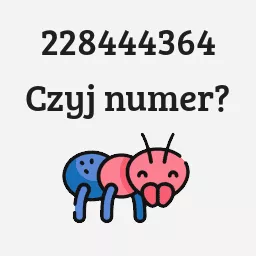 228444364