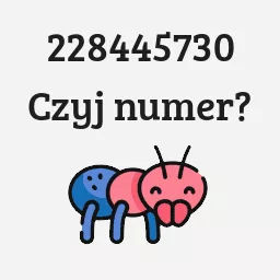 228445730