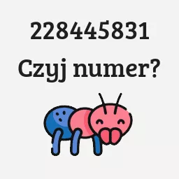 228445831