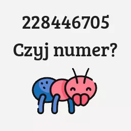 228446705