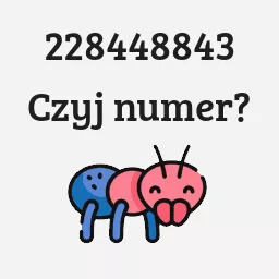 228448843