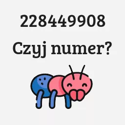 228449908