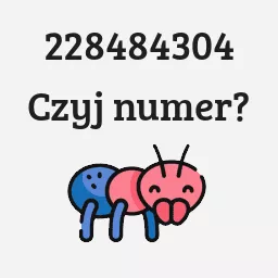 228484304