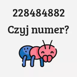 228484882