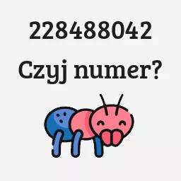 228488042