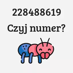 228488619