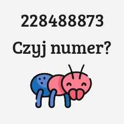 228488873