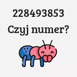 228493853