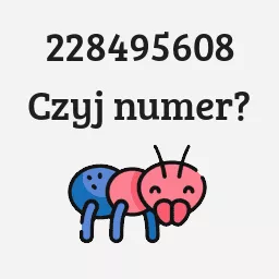 228495608