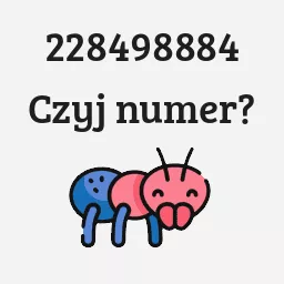 228498884