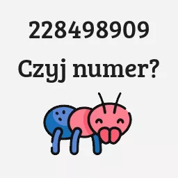 228498909