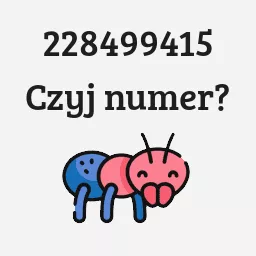 228499415