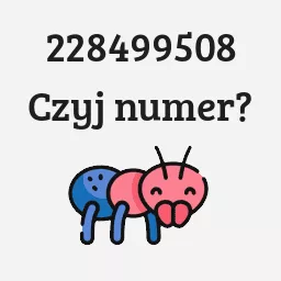 228499508