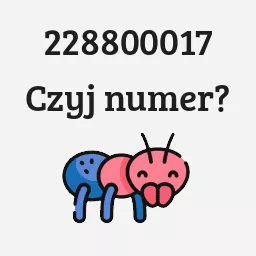 228800017