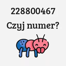 228800467