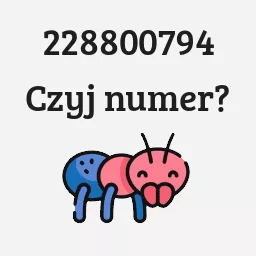 228800794