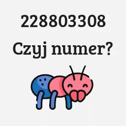 228803308