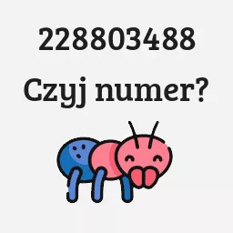 228803488