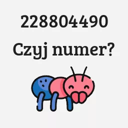 228804490