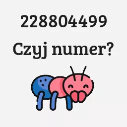 228804499