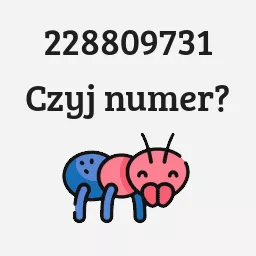 228809731