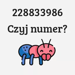 228833986