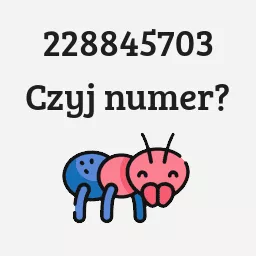 228845703