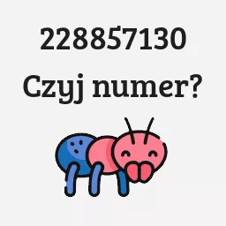 228857130