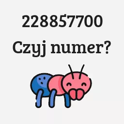 228857700