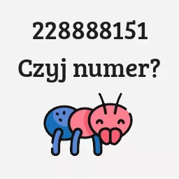 228888151