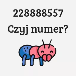 228888557