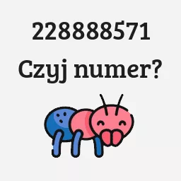 228888571