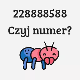 228888588