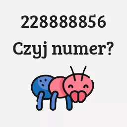 228888856