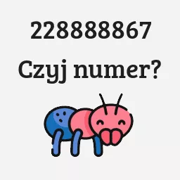 228888867